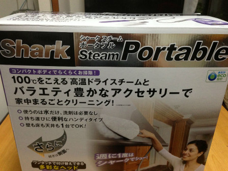 steamportable_121222