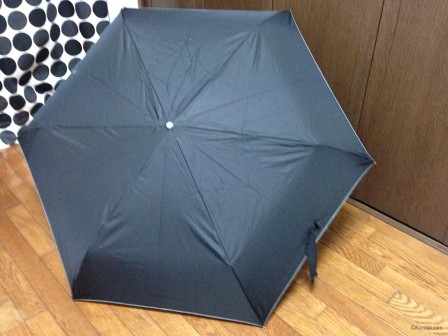 umbrella_130326_05